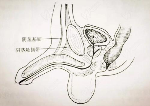 重慶星榮整形外科醫(yī)院李世榮醫(yī)生的技術不錯