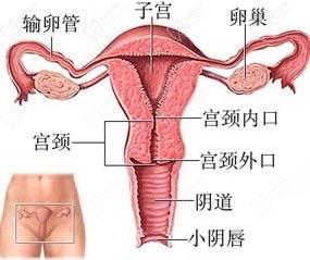 變性手術(shù)整形醫(yī)院問詢免費平臺